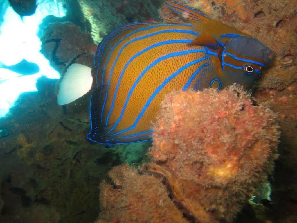 Ombak Dive Resort Pulau Perhentian Kecil Экстерьер фото